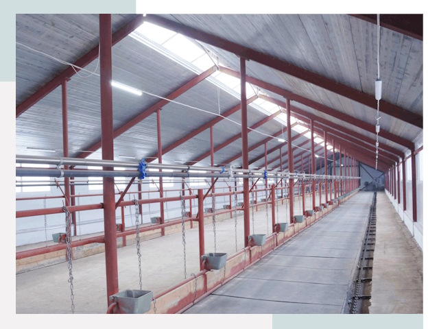 Строительство коровников в Черняховске от 629 руб.