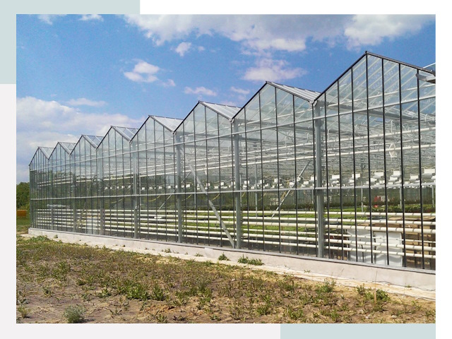 Строительство теплиц в Черняховск от 629 руб. за м²